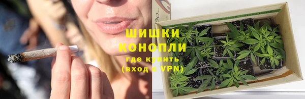 сатива Абдулино