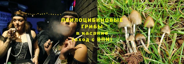 сатива Абдулино