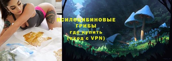 ГАЛЛЮЦИНОГЕННЫЕ ГРИБЫ Надым