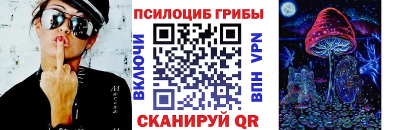 Галлюциногенные грибы Psilocybe как найти наркотики Павловский Посад